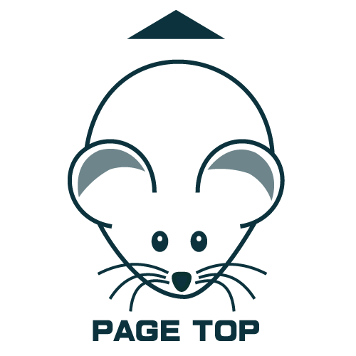 PAGE TOP